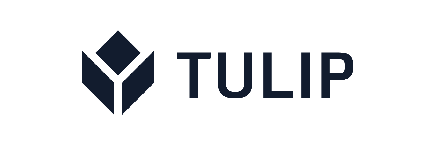 Tulip